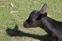 Cjp_2011_08_01_145035 (1).jpg